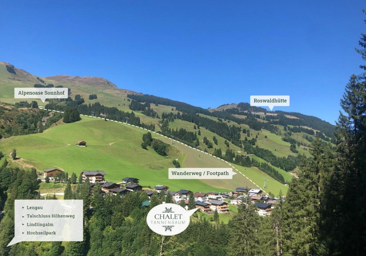 Tannenbaum * Saalbach-Hinterglemm