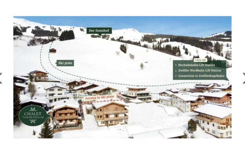 Tannenbaum Chalet